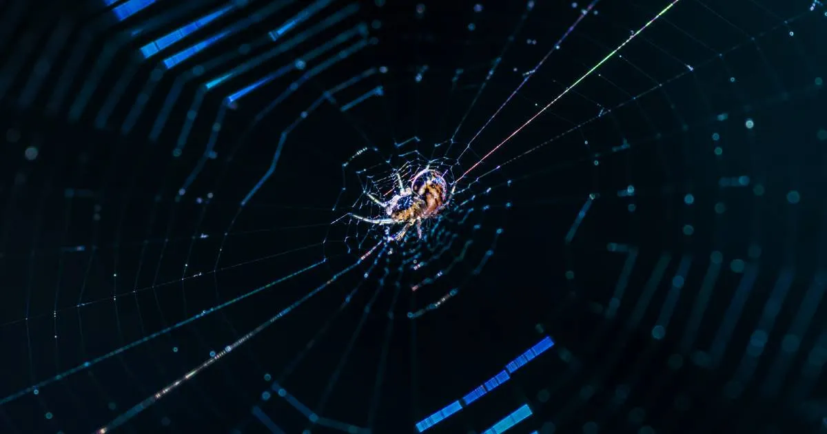 A spider at the centre of its web, lit against a dark background.